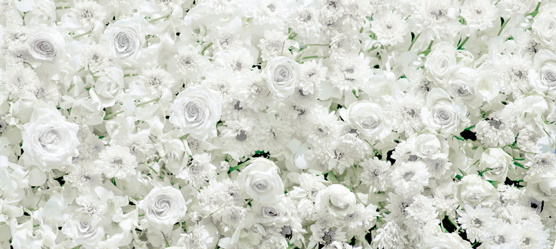 Fototapeta picture White flower group surface, beautiful pattern