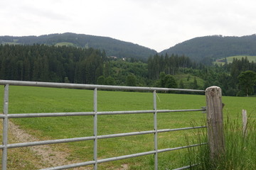 Landschaft in Österreich