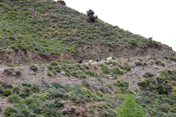 Kreta, Kavousi, Wanderweg