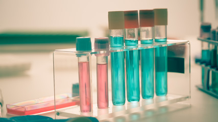 Test tubes and flasks in a chemical laboratory