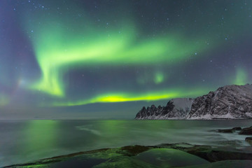 Fototapeta na wymiar Northern lights at a time of winter in Norway in the Lofoten Islands