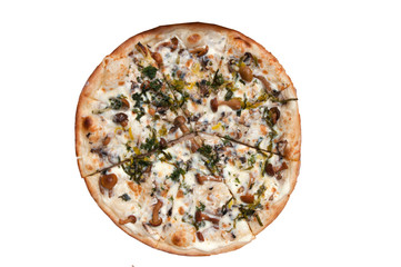 pizza with cheese and mushrooms on a white background top view