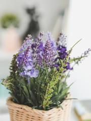 Close-up of a bouquet of lilac flowers in a pot on a blurred background of a bookcase