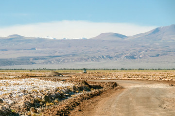 Blurred background of Atacama Desert landscape with snow-capped Andean volcanos, salt flat and some vegetation on horizon, Chile