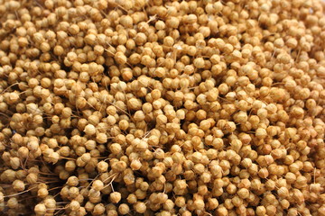 A many dried flax boxes - texture for the background
