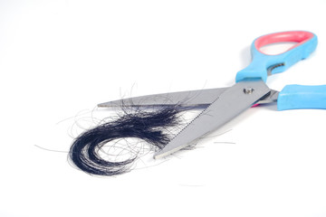 Scissors and hair cut on white background.