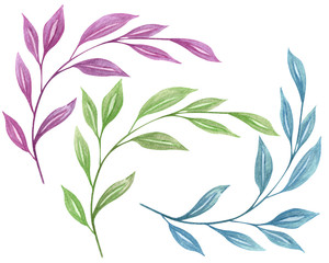Three bright color tropical twigs with blue, green, purple leaves for your design.