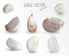 Photo realistic garlic with segments, peeled cloves, chopped slices, isolated on transparent background. 3d quality realistic vector icon set for menu illustration.