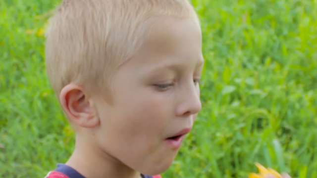 boy eat apricots,In summer, the boy ate delicious apricots in the nature in his hands