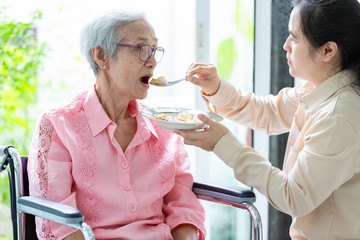 Young female caregiver or daughter feeding senior woman or mother in wheelchair at retirement house or home,asian elderly patient with woman caretaker,help,service concept