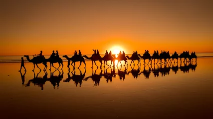 Zelfklevend Fotobehang Sunset camel ride in Broome, Western Australia © Alexander