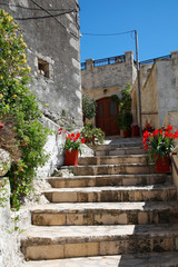 Alte Steintreppe mit Pflanze, Insel Kreta, Griechenland, Europa