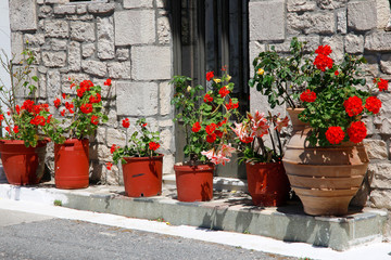 Fototapeta na wymiar Rote Geranien in Töpfen an Hauseingang, Insel Kreta, Griechenland, Europa