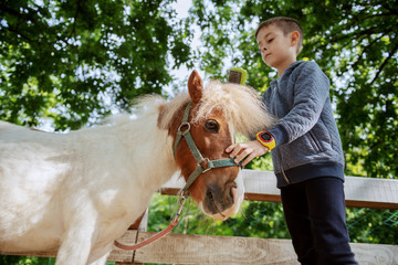 Caucasian boy grooming adorable white and brown pony horse. Sunny day on ranch concept.