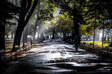 Planty park