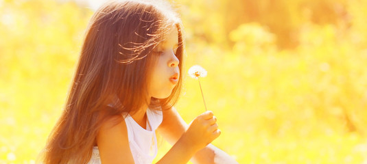Sunny summer portrait little girl child blowing dandelion flower