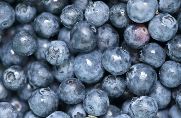 close up of blueberries 
