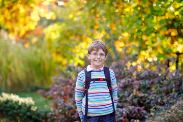 Happy little kid boy with glasses and backpack or satchel on his first day to school on sunny autumn day. Child outdoors with yellow and read maple trees on background, Back to school concept