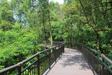 hort park in singapore 