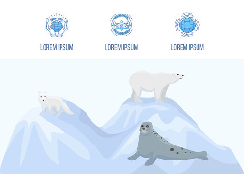 Alaska and north pole vector landing page template. Web banner with blue icons and cartoon pole bear, pole fox and furseal . Flat illustration of arctic nature and fauna.