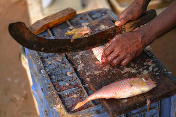 Sliced fish with a knife in the blood. big machete in fisherman's hand. Tuna on the market of Sri Lanka. Stock photos
