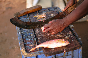 Sliced fish with a knife in the blood. big machete in fisherman's hand. Tuna on the market of Sri Lanka. Stock photos