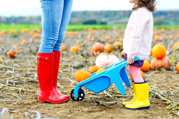 Legs of young woman and her little kid girl daugher in rainboots. Woman in red gum boots, child in yellow shoes. On pumpkin field, outdoors