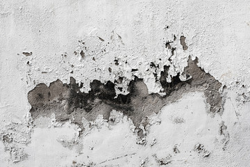 Texture of white cement wall