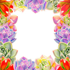 Beautiful colorful succulent frame.  Decorative plants. Floral print. Marker drawing. Watercolor painting. Beautiful houseplants. Greeting card. Flower painted background. Hand drawn illustration.