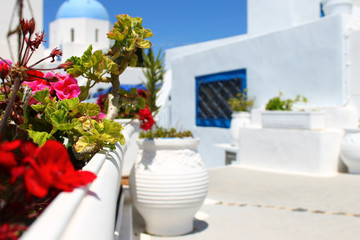 Beautiful summer mediterranean geranium flowers and blurred cycladiс traditional greek house and church on background.