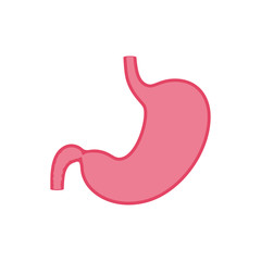 Vector isolated illustration of stomach