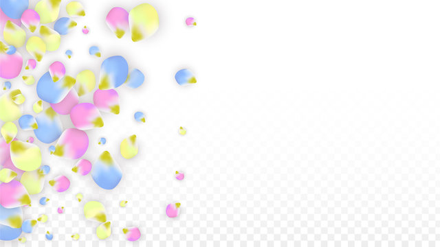 Vector Realistic Colorful Petals Falling on Transparent Background. Spring Romantic Flowers Illustration. Flying Petals. Sakura Spa Design. Blossom Confetti. Design Elements for Wedding Decoration. © Feliche _Vero
