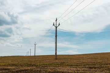 Power poles in the rapeseed field.