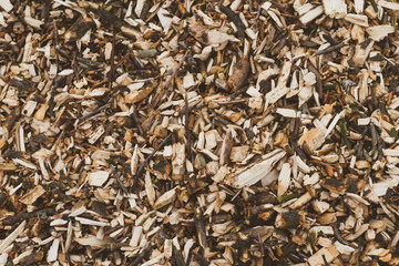 Wood chips texture. Lumber, industrial wood background. Logging close-up. Pattern of trunk, wall surface, timber. Brown firewood.