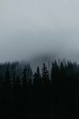 Tableaux ronds sur aluminium brossé Forêt dans le brouillard Fog around trees
