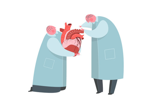 Doctors or scientist working on heart transplantation donor organ.