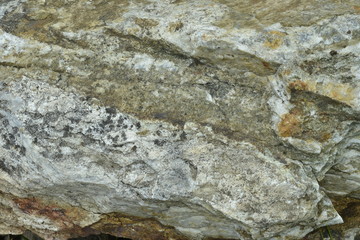 Surface of Rock