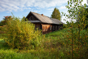 abandoned village in forest