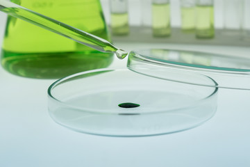 Pipettes take samples into the petri dish.