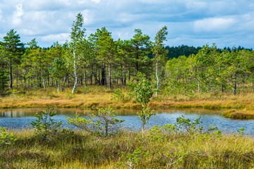 empty countryside life landscape in late autumn