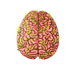 Healthy Smart Human Growing Brain Green Eco Floral Design