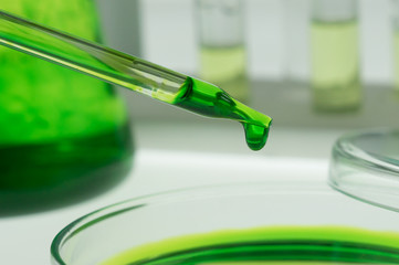 Pipettes take samples into the petri dish.