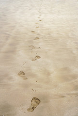 Footprints of bare feet on the sand of the beach. The coast of the ocean, the sea. Tourist background for travel agency. Stock photo