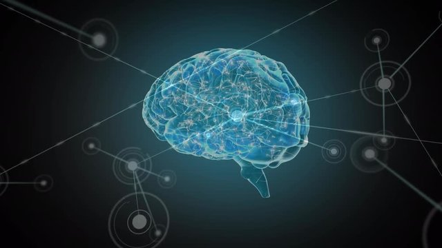 Digital brain with network