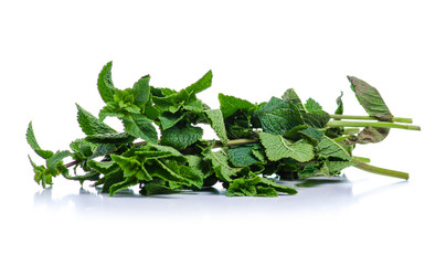 Fresh green mint on white background isolation