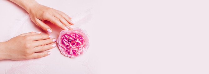 Stylish trendy female manicure. Woman's Hands holding rose flower on pink background. Top view,...