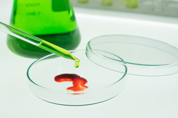 Pipettes take samples into the petri dishes have blood.