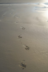 Footprints of bare feet on the sand of the beach. The coast of the ocean, the sea. Tourist background for travel agency. Stock photo
