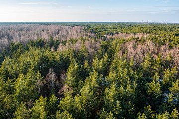 panoramic view of Riga city in Latvia