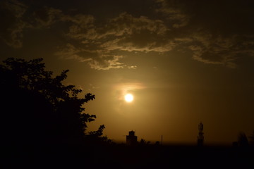 Fototapeta na wymiar Tree silhouette at sun set
